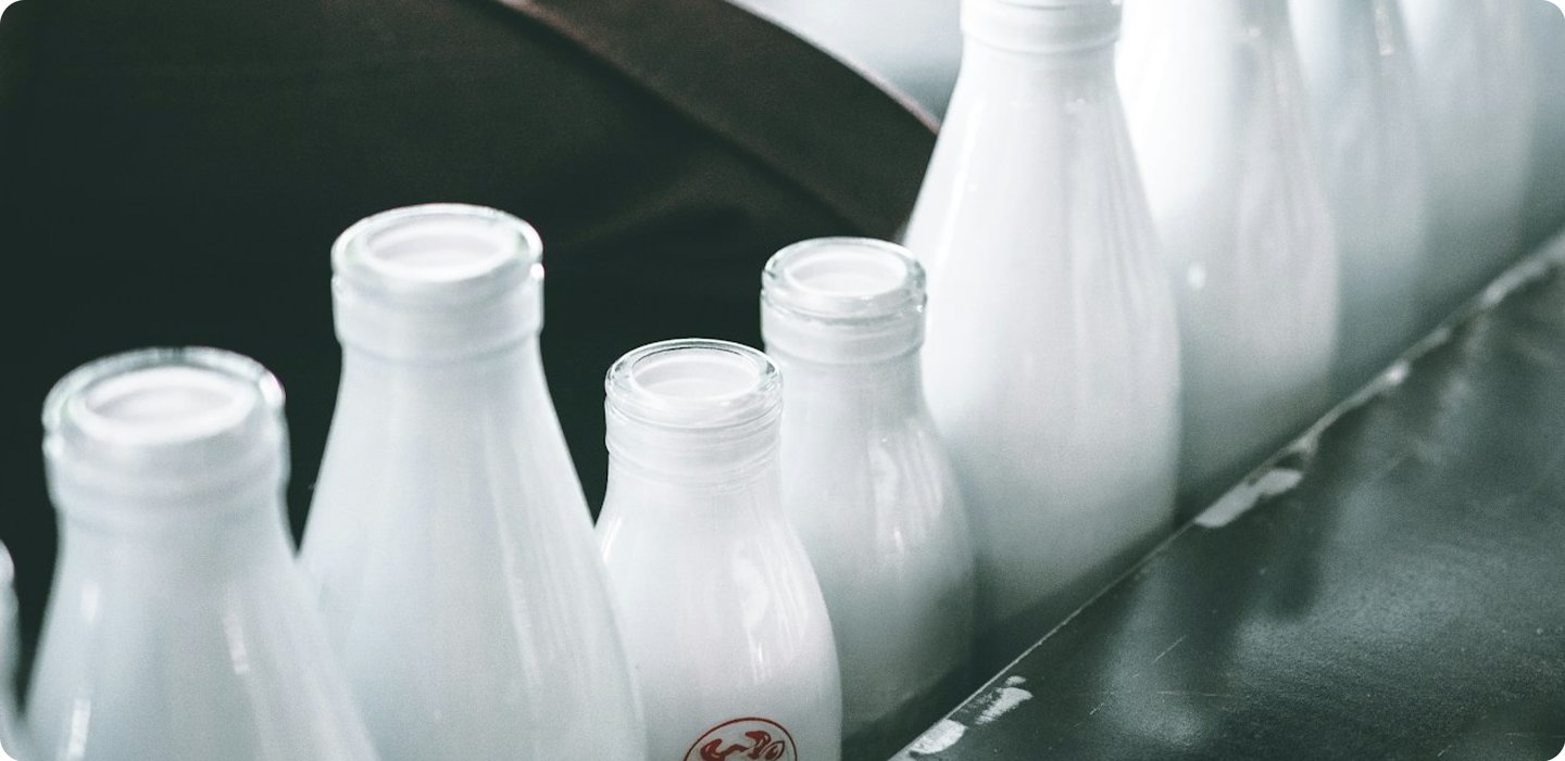 Dairy App project cover